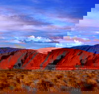 Uluru and Kata Tjuta Experience with BBQ Dinner - Tourism Search