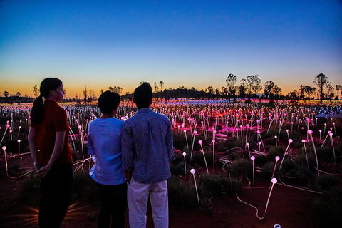 Uluru Field Of Light Sunrise Tour - Tourism Search 0
