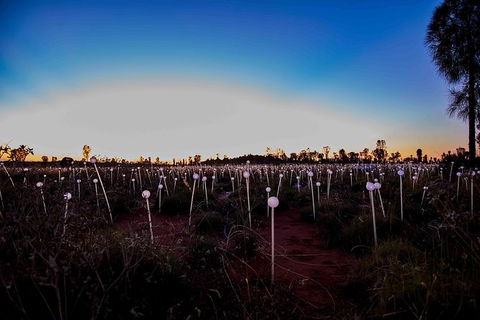Uluru Field Of Light Sunrise Tour - Tourism Search 8