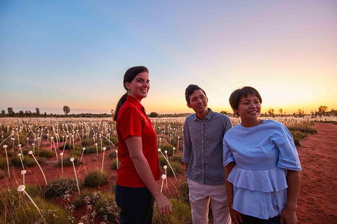 Uluru Field Of Light Sunrise Tour - Tourism Search 11