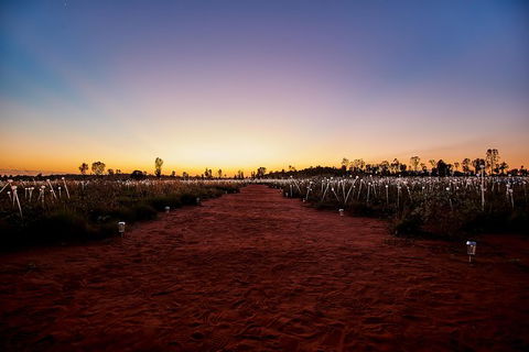 Uluru Field Of Light Sunrise Tour - Tourism Search 14