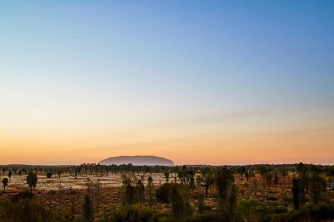 Uluru Field Of Light Sunrise Tour - Tourism Search 12