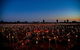 Uluru Field Of Light Sunrise Tour - thumb 7