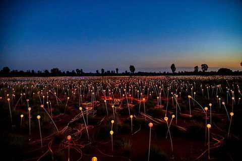 Uluru Field Of Light Sunrise Tour - Tourism Search 7