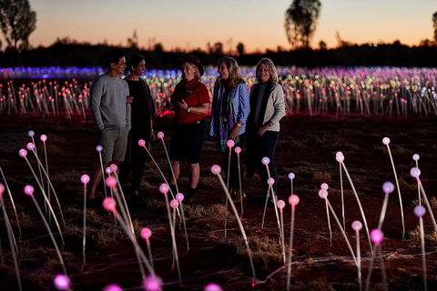 Uluru Field Of Light Sunrise Tour - Tourism Search 10