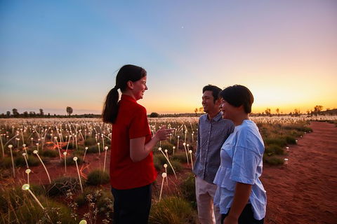 Uluru Field Of Light Sunrise Tour - Tourism Search 9