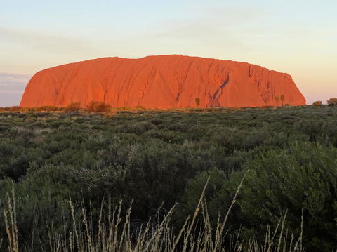 Uluru (Ayers Rock) Sunset With Outback Barbecue Dinner And Star Tour - Tourism Search 5