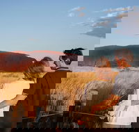 Uluru Ayers Rock Sunset with Outback Barbecue Dinner and Star Tour - Tourism Search