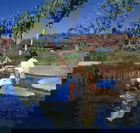 Palm Valley 4WD Tour - Tourism Search