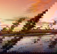 3-Day Kakadu National Park and Arnhem Land Explorer Tour from Darwin - Tourism Search