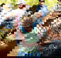 Tiwi Islands Cultural Experience from Darwin Including Ferry - Tourism Search