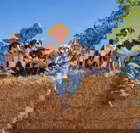 Skip-the-Line Katherine Outback Experience Show Ticket - Tourism Search