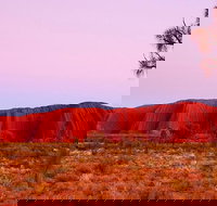 Best of Ayers Rock Sunset Uluru and Sunrise Kata Tjuta Small Group Tours - Tourism Search