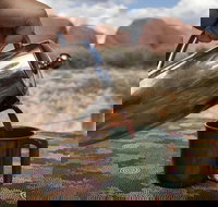 Kata Tjuta Small-Group Tour Including Sunrise and Breakfast - Tourism Search