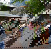 Alice Springs Walking Tours - Tourism Search