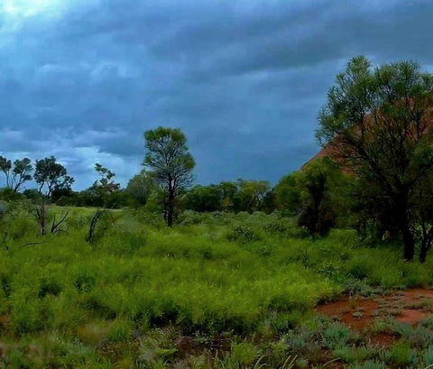 3-Day Ayers Rock To Alice Springs Camping Tour Including Kings Canyon, Kata Tjuta And Uluru - Tourism Search 11