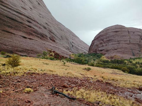 3-Day Ayers Rock To Alice Springs Camping Tour Including Kings Canyon, Kata Tjuta And Uluru - Tourism Search 4