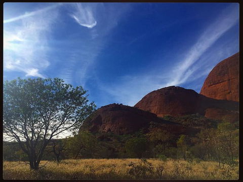 3-Day Ayers Rock To Alice Springs Camping Tour Including Kings Canyon, Kata Tjuta And Uluru - Tourism Search 14