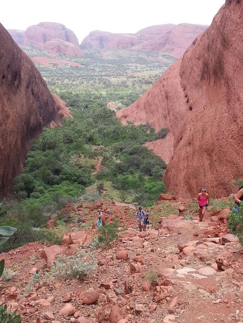 3-Day Ayers Rock To Alice Springs Camping Tour Including Kings Canyon, Kata Tjuta And Uluru - Tourism Search 7