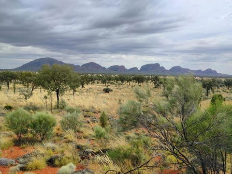 3-Day Ayers Rock To Alice Springs Camping Tour Including Kings Canyon, Kata Tjuta And Uluru - Tourism Search 5