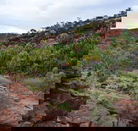 Palm Valley and Hermannsburg 1 Day 4WD Tour - Tourism Search