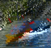 Kayak and SUP Guided Tours - Tourism Search