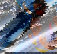 Coffs Harbour Ground Rush or Max Freefall Tandem Skydive on the Beach - Tourism Search