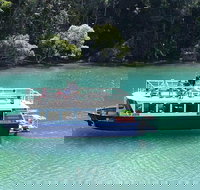 Brunswick Heads Rainforest Eco-Cruise - Tourism Search