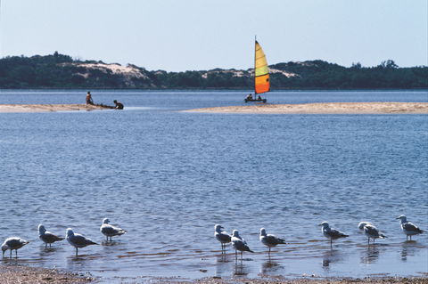 Australind - Tourism Search 0
