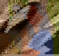 Billabong Sanctuary - Tourism Search