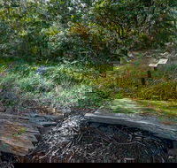 Browns Forest Loop Trail - Tourism Search
