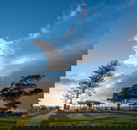 Cleveland Nandeebie/Indillie - Tourism Search