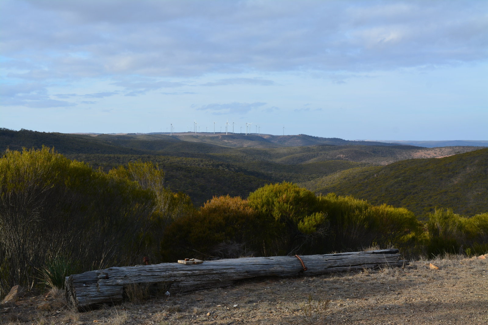 Waddikee ACT Tourism Search