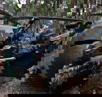 Delta Force Paintball Appin - Tourism Search