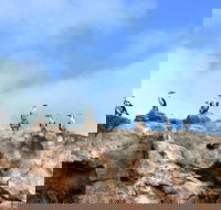 Dirk Hartog Island National Park - Tourism Search