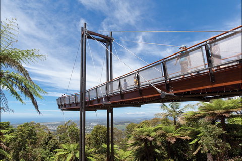 Forest Sky Pier, Sealy Lookout - Tourism Search 0
