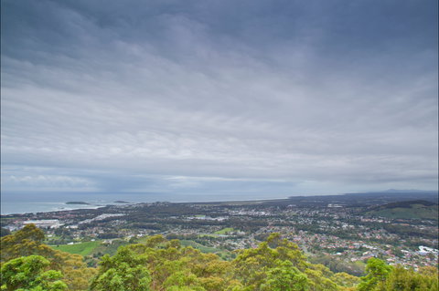 Forest Sky Pier, Sealy Lookout - Tourism Search 2