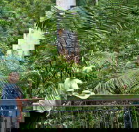 Grandis Picnic Area - Tourism Search