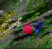 Grand Strzelecki Track - Tourism Search