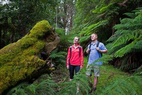 Grand Strzelecki Track - Tourism Search 0