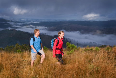 Grand Strzelecki Track - Tourism Search 1