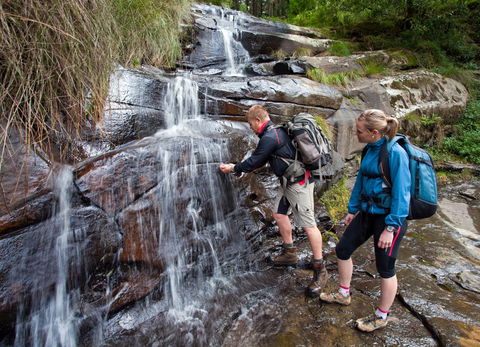 Grand Strzelecki Track - Tourism Search 2