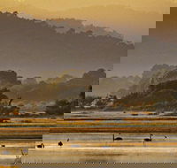 Greens Beach - Tourism Search