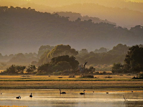 Greens Beach - Tourism Search 0
