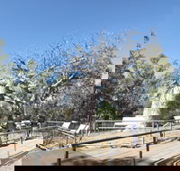 Gregory's Tree Timber Creek - Tourism Search