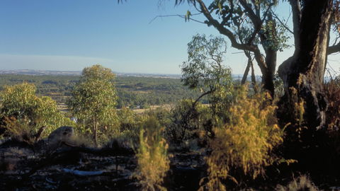 Heathcote-Graytown National Park - Tourism Search 0