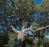 Holey Plains State Park - Tourism Search