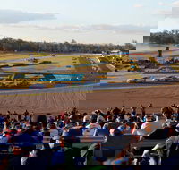 Ipswich Motorsport Precinct - Tourism Search