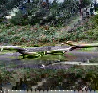Kayaking Upper Tuross River and Bumbo Lake - Tourism Search