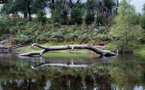Kayaking Upper Tuross River And Bumbo Lake - Tourism Search 0